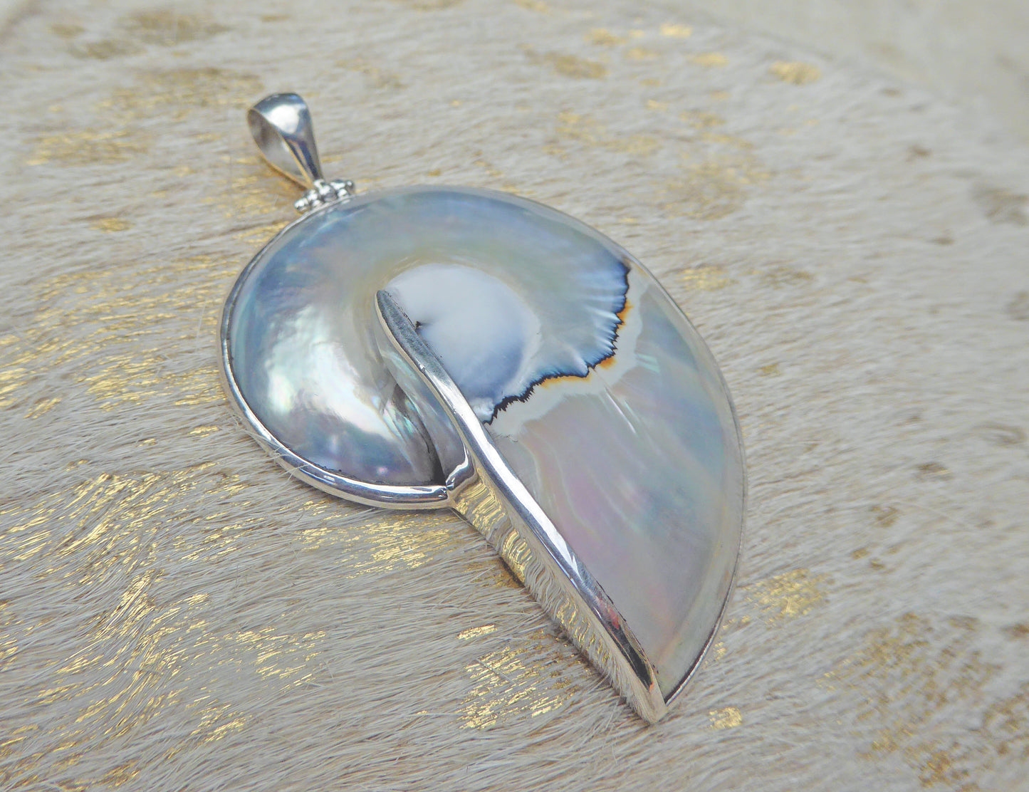 Blue nautilus shell pendant set in silver