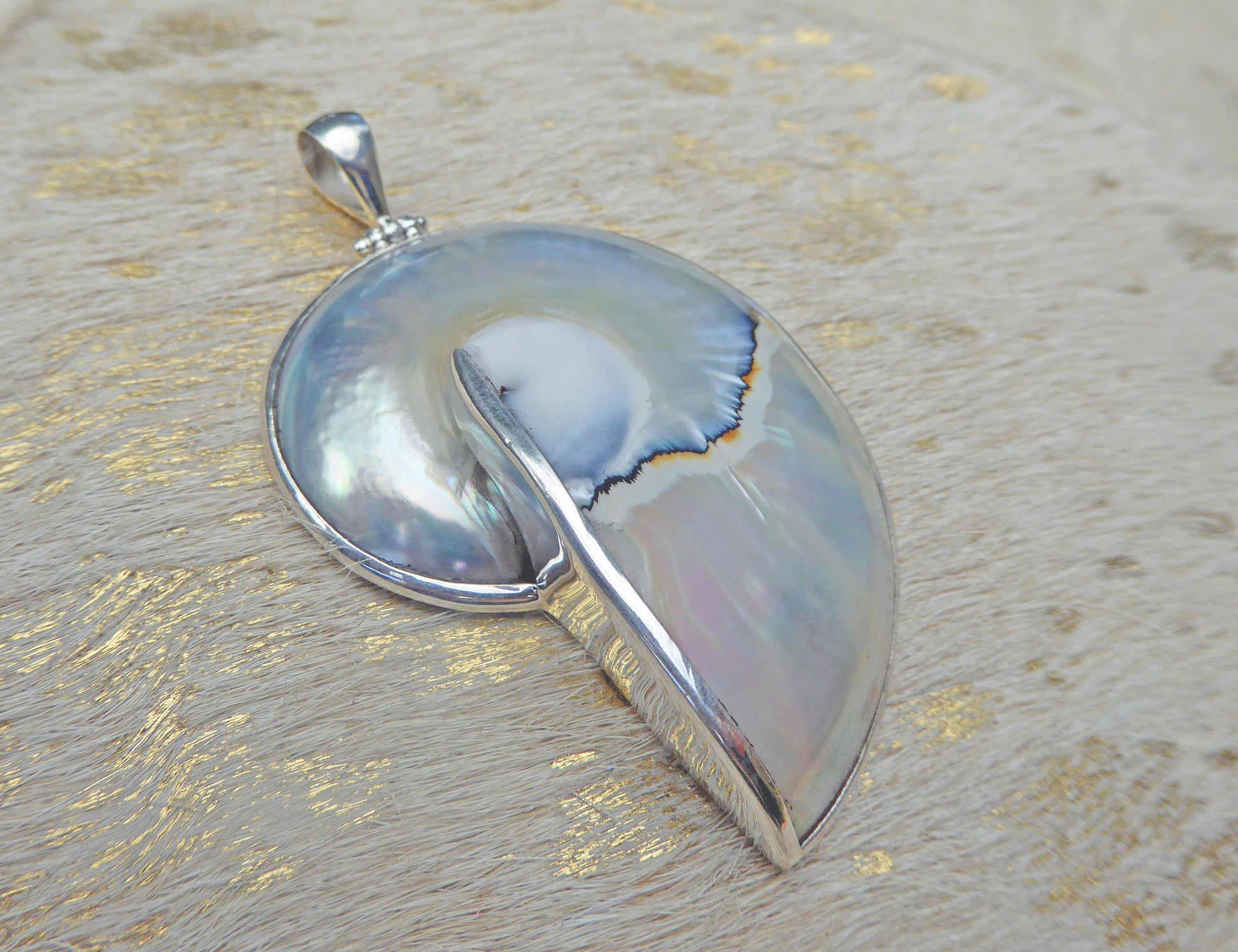 Blue nautilus shell pendant set in silver