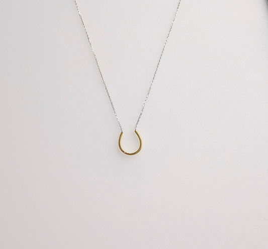 Horseshoe Necklace