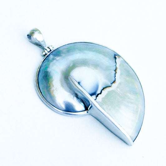 Blue nautilus shell pendant set in silver