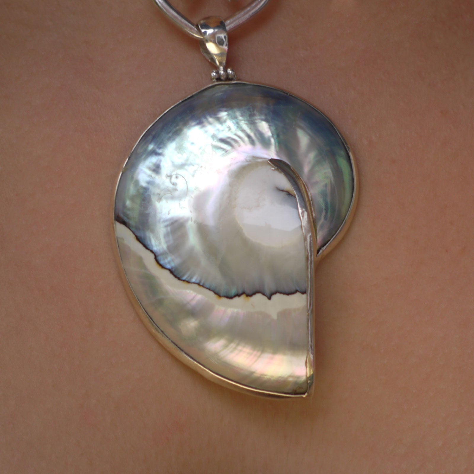 Blue nautilus shell pendant set in silver