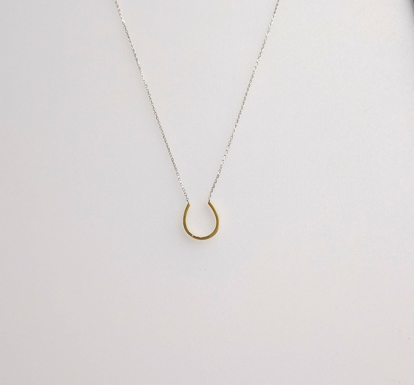 Horseshoe Necklace