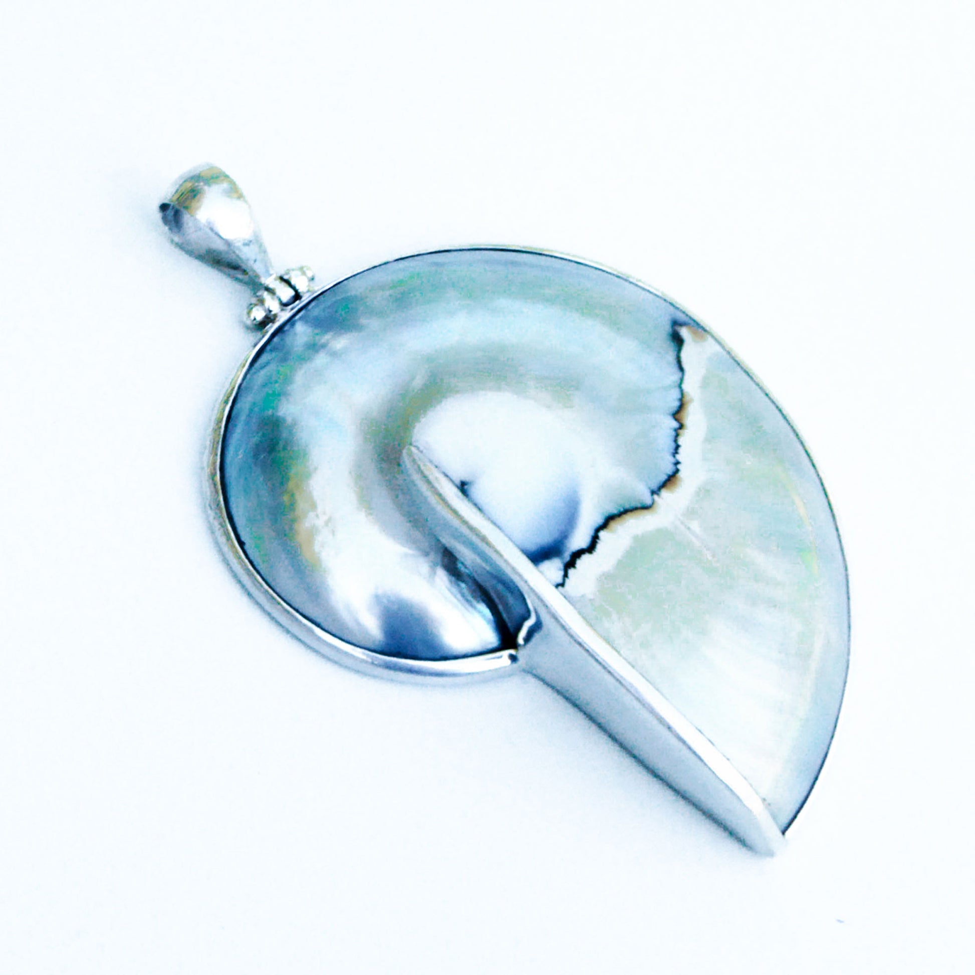 Blue nautilus shell pendant set in silver